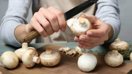 Како ољуштити печурке? Како спречити да печурке потамне, који су савети