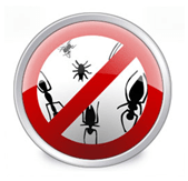 Инсталирајте Анти-вирус да скида бугове и код наси вируса!