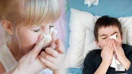 Све већи број случајева грипа код деце уплашен! Критично упозорење стигло је од стручњака