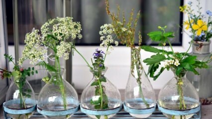 Шта треба учинити да цветови вазе не избледе?