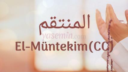 Шта значи Ал-Мунтаким (ц.ц)? Које су врлине Ал-Мунтакима (ц.ц)?