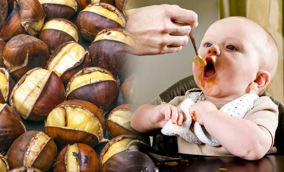 Могу ли бебе да једу кестене? Како направити пудинг од кестена?