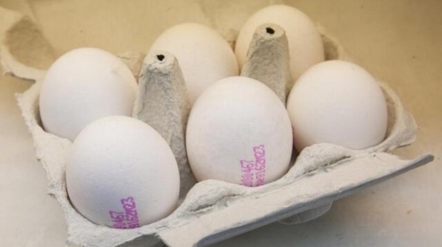 Како се разуме органско јаје? Шта значе кодови јајета?