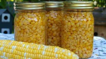 Како се чува кукуруз? Најједноставнији начини складиштења кукуруза! Припрема озимог кукуруза