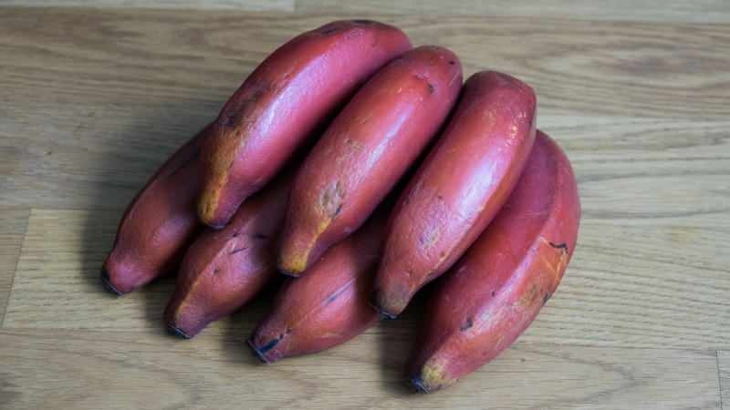 црвене банане постају љубичасте док сазревају