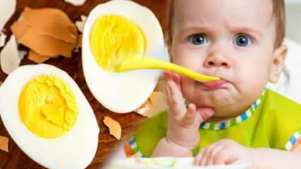 Како жумањке треба давати бебама? Колико месеци да покренете јаје? Рецепт за беба јаја