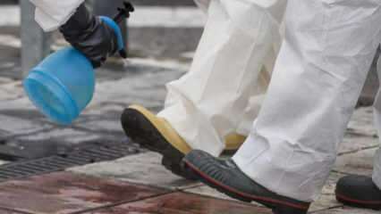 Како урадити пуноправно чишћење ципела? Како се дно ципела дезинфицира?