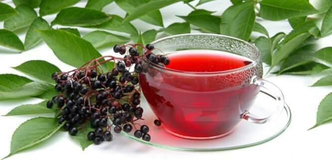 Чај од боровнице пружа невероватне користи за имуни систем