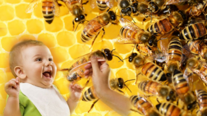 Како мед треба давати бебама? Шта се не сме дати пре 1. године