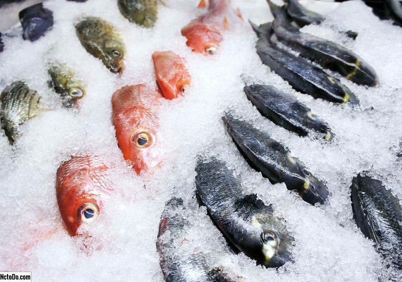 Како држати рибу у замрзивачу? Који су савети за држање рибе у замрзивачу?