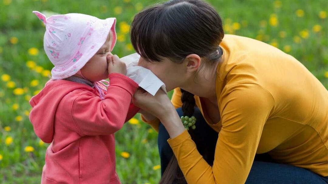 Која је разлика између сезонских алергија и прехладе код деце?