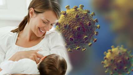 Да ли коронавирус прелази са млека на бебу? Пажња будућим мајкама током процеса пандемије! 