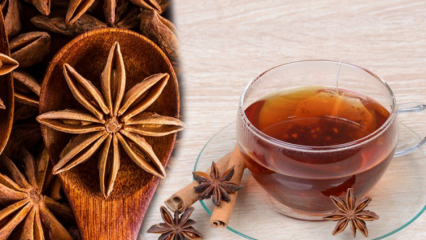 Које су предности семенке аниса? Како направити чај од аниса и шта он ради?