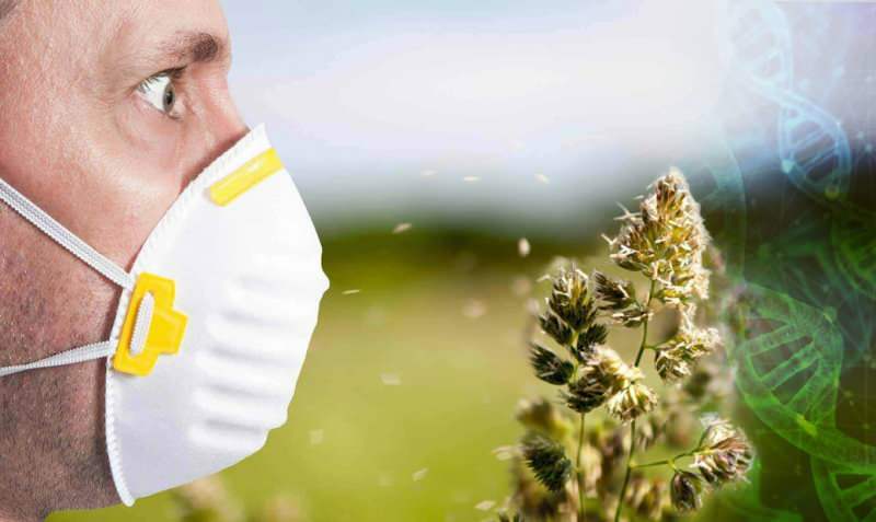 повећана алергија на полен
