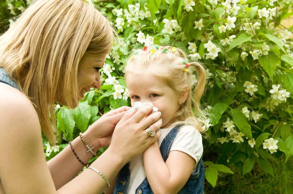 Шта је добро за сезонске алергије код деце?