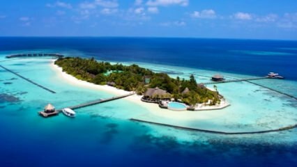 Индонезијско острво Комодо чува се испод 100 милијарди!