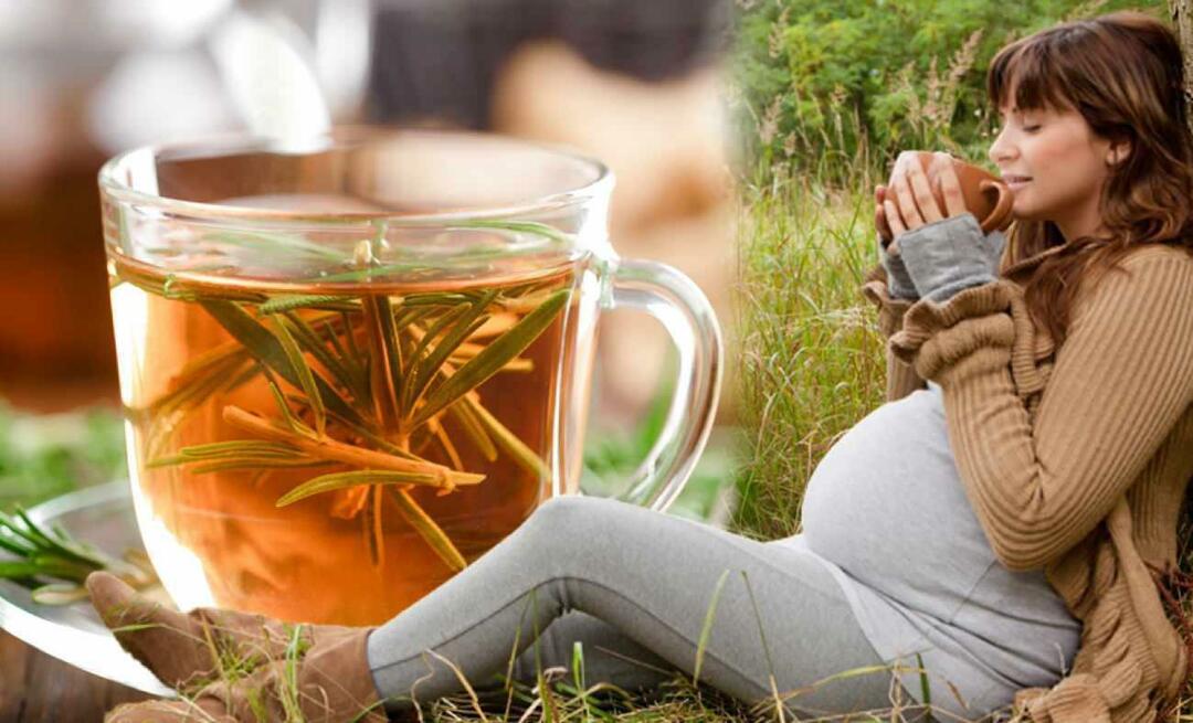 Да ли труднице могу пити зимски чај? Који чај треба пити током трудноће? зимски чајеви за труднице