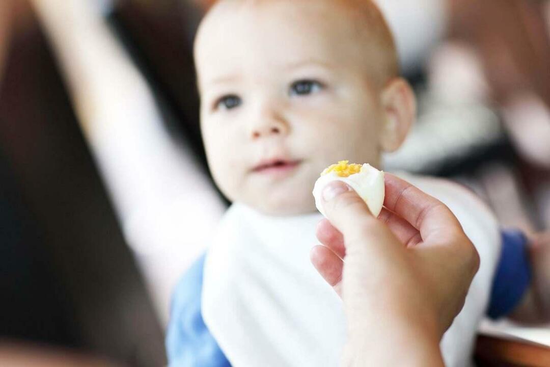беба једе јаје