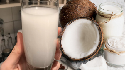 Шта ради кокосова вода? Које су предности кокоса?