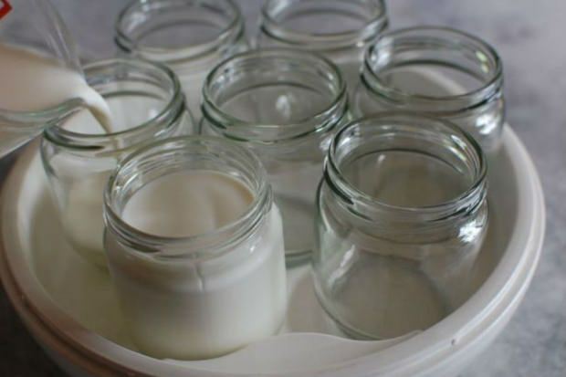 јогурт из сеоског млека