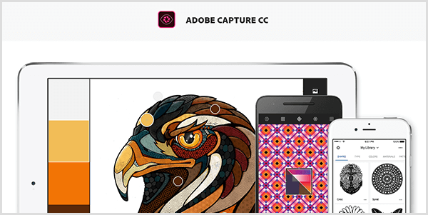 Адобе Цаптуре ствара палету од слике коју снимате мобилним уређајем. Веб локација приказује илустрацију птице и палету створену на основу илустрације, која укључује светло сиву, жуту, наранџасту и црвенкасто смеђу.