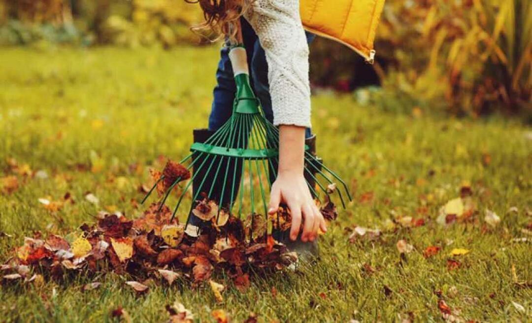 Како очистити башту у јесен? Да ли се врт окопава у јесен? чишћење баште