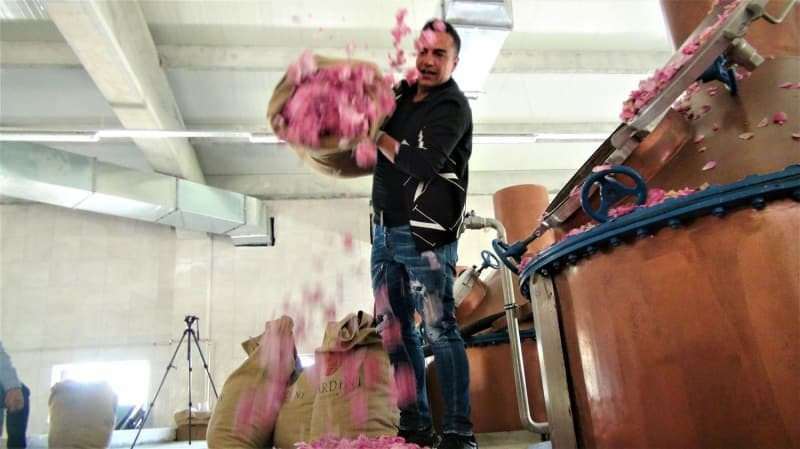 Бердан Мардини основао је фабрику ружиног уља у свом родном граду!