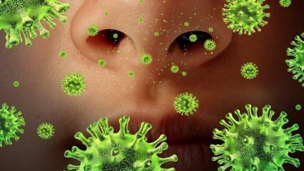 Поновна појава: шта је вирус Сарс и који су његови симптоми? Како се преноси вирус Сарс?