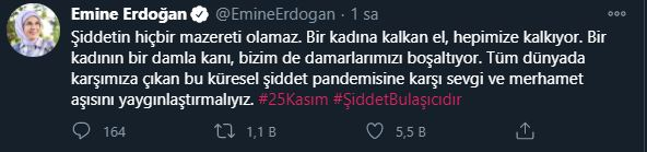 Емин Ердоган дели насиље