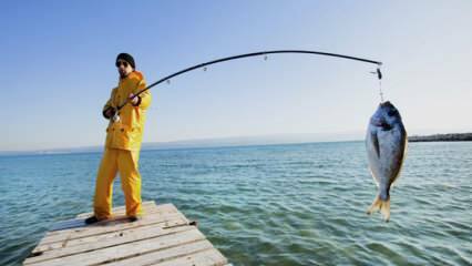 Како ловити рибу? Који су трикови риболова штапом?