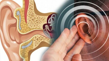 Болест уха: Шта узрокује болест? Који су симптоми Мениере-а? Постоји ли лек?