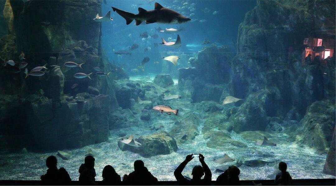 Истанбулски акваријум