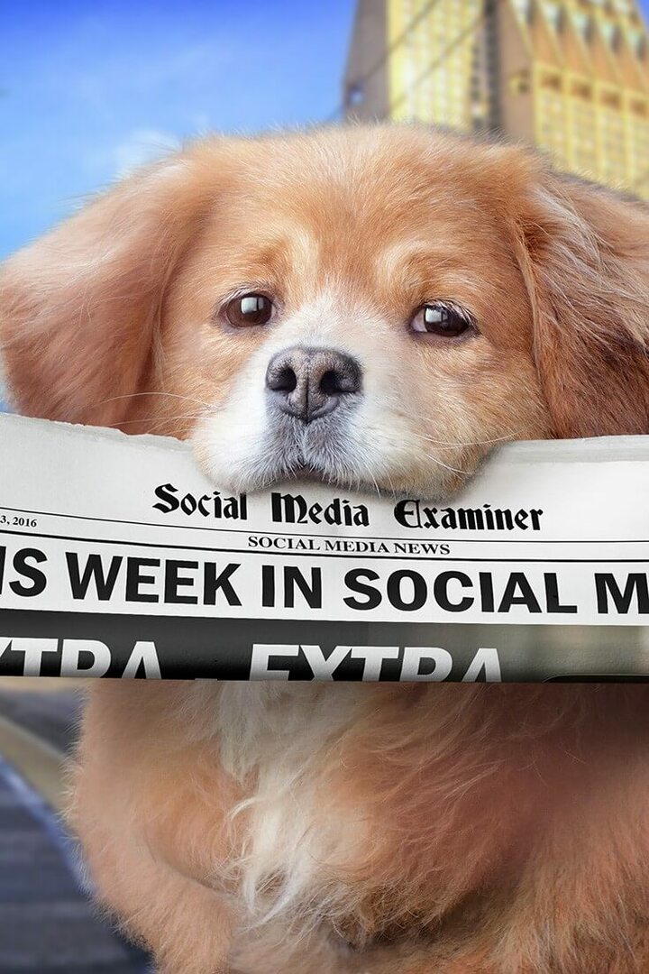 Фацебоок Ливе избацио циљање публике: Ове недеље на друштвеним мрежама: Испитивач друштвених медија