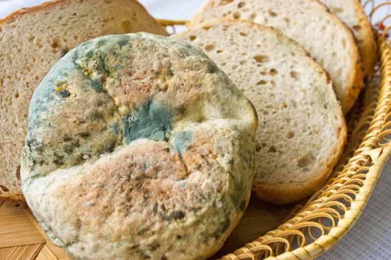Начини да се спречи да хлеб застаре и постане плесан