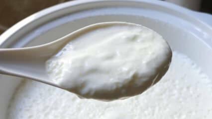 Који је лак начин за вариво јогурта? Прављење јогурта од камена код куће! Предност кућног јогурта