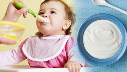 Како направити јогурт за бебе? Рецепти за домаће воћне јогурте за бебе