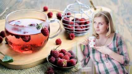 Чај који олакшава рађање: Малина! Предности чаја од малине за труднице