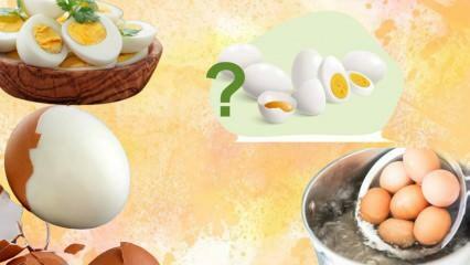 Дијета са куваним јајима! Да ли те јаје држи ситим? 12 килограма за недељу дана 