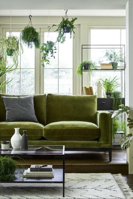 зелена боја кућне декорације 