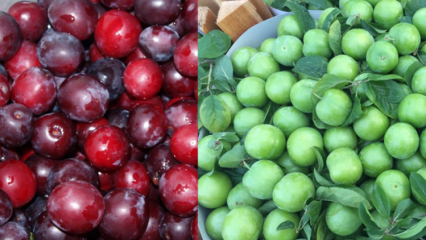 Које су предности зелене и црвене вишње? Шта ради сок од црвене шљиве?