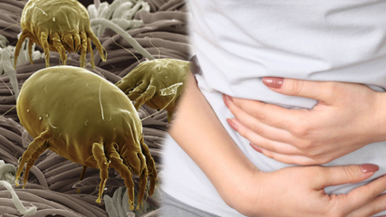 Где је најпрљавији део тела и како се чисти? Које су болести изазване паразитима? 
