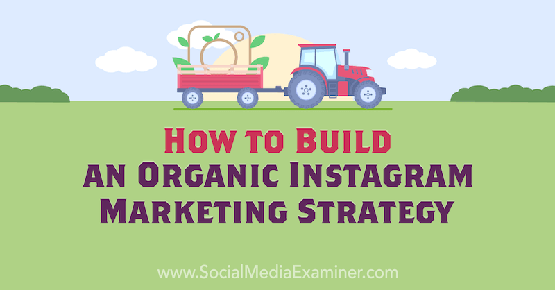 Како изградити органску маркетиншку стратегију за Инстаграм од Цоринне Кеефе на испитивачу друштвених медија.