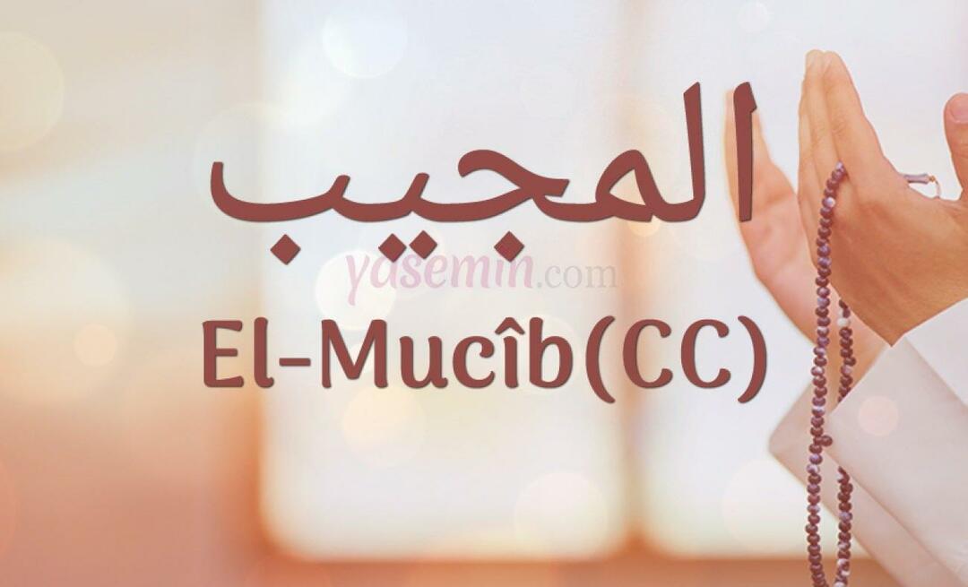 Шта значи Ал-Мујиб (цц) из Есма-ул Хусна? Зашто се обавља зикр Ал-Мујиб?