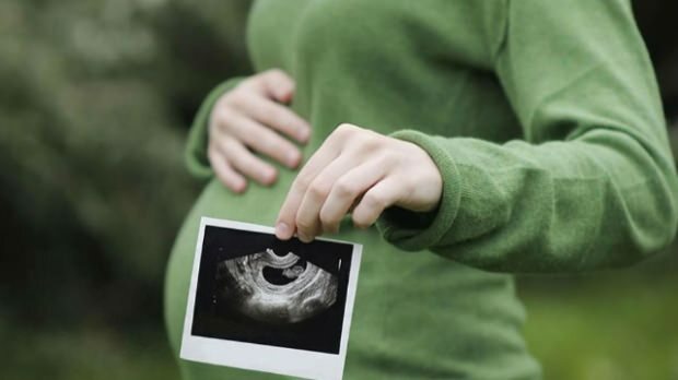Који орган се прво развија код новорођенчади? Развој беба сваке недеље у недељу