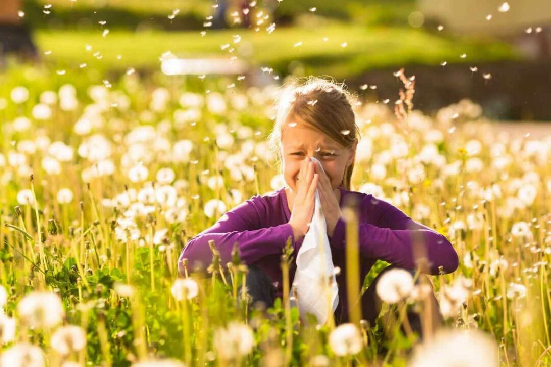 Шта треба узети у обзир да бисте заштитили децу од сезонских алергија