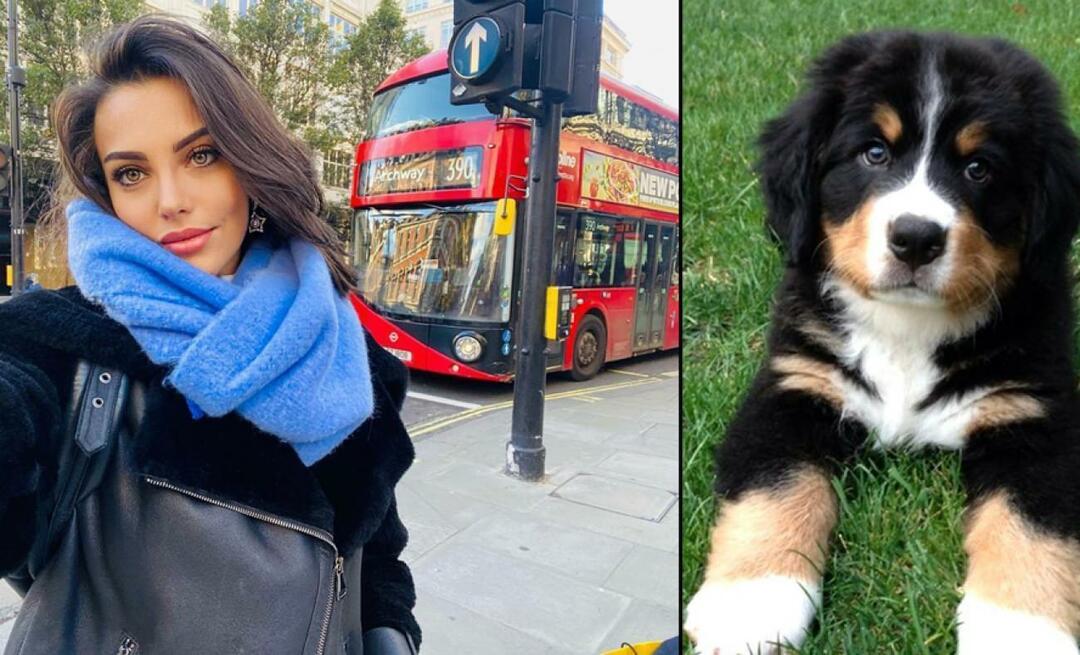 Глумица Тувана Туркаи дала је живот за свог пса!