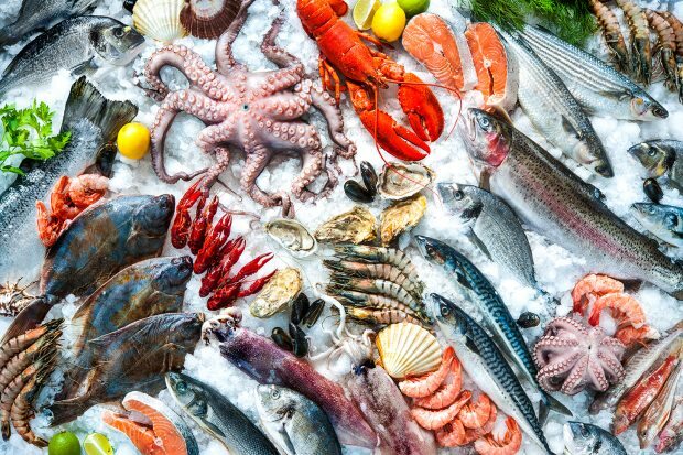 пазите на морску храну и смрзнуту храну!