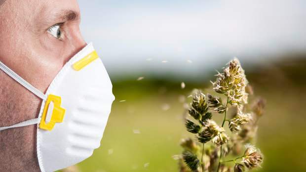 пролећну алергију узрокују полен, кућни љубимци, повећана температура и прашина