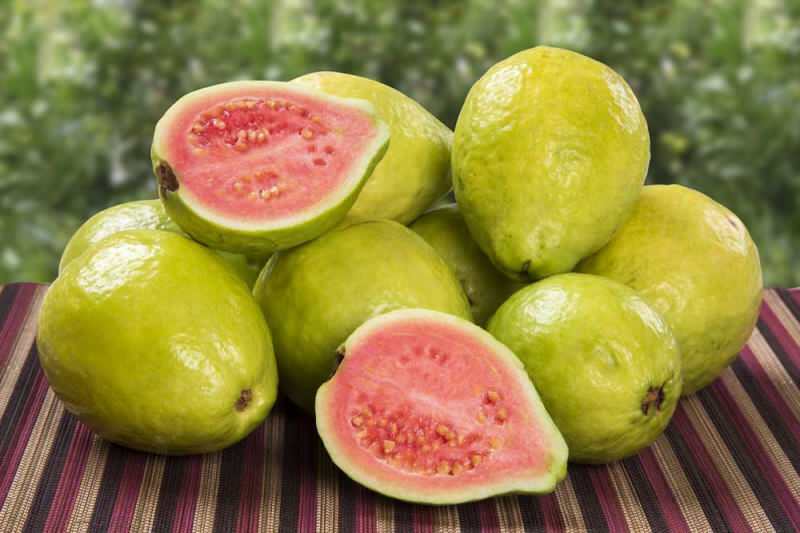 Шта је плод гуаве? Како јести воће гуаве и које су његове користи?