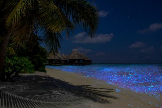 Малдиви - острво Ваадхоо